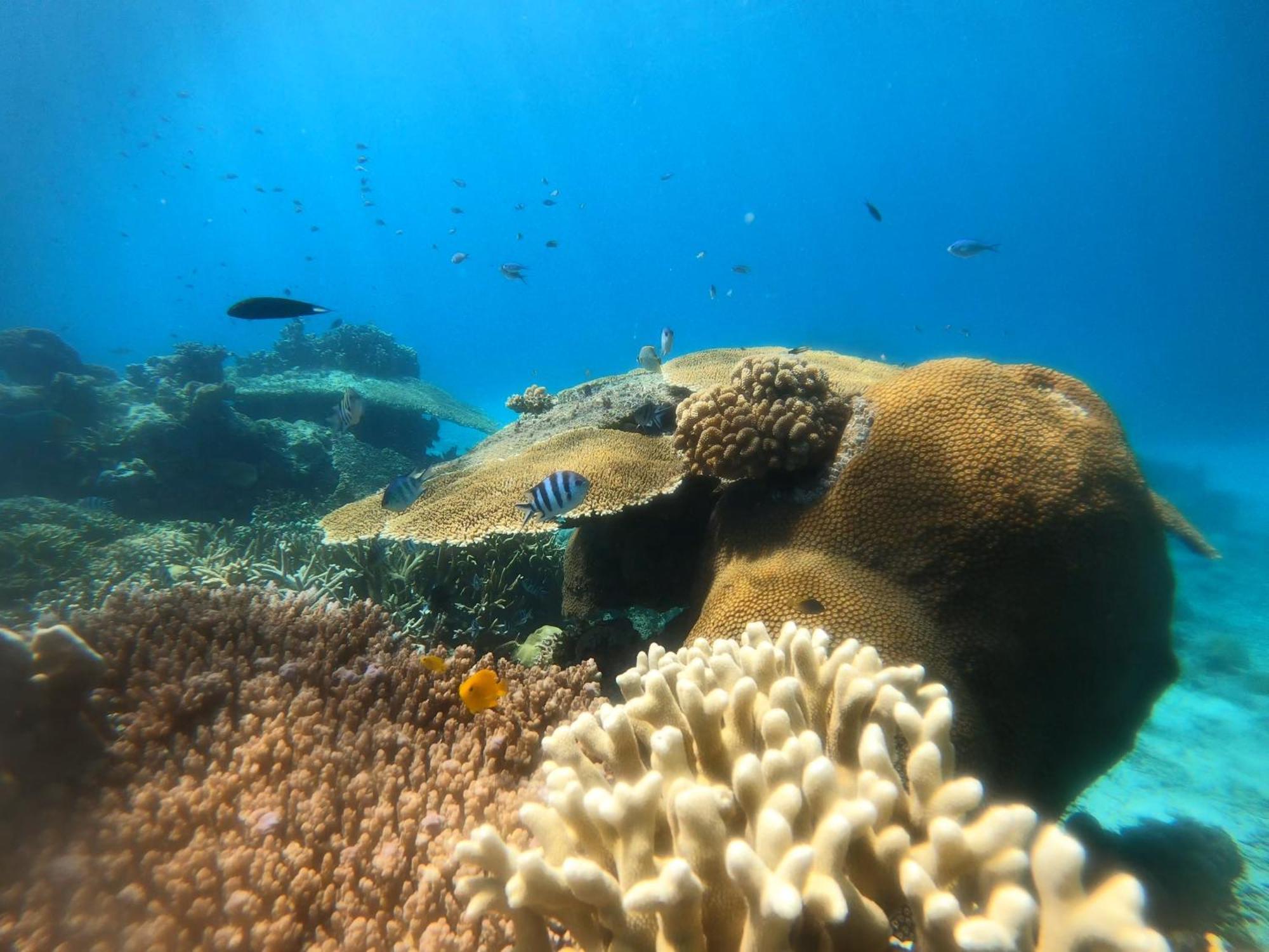 Natuna Dive Resort Ranai Esterno foto